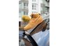 Купить Nike PATH WNTR BQ4223-700 - оригинал, гарантия