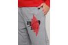 Купить Nike JUMPMAN WINGS CLASSICS PANT BQ8470-091 - оригинал, гарантия