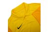 Купить Футболка Trophy IV Nike BV6725-719 