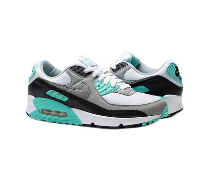 Кросівки AIR MAX 90 Nike CD0881-100