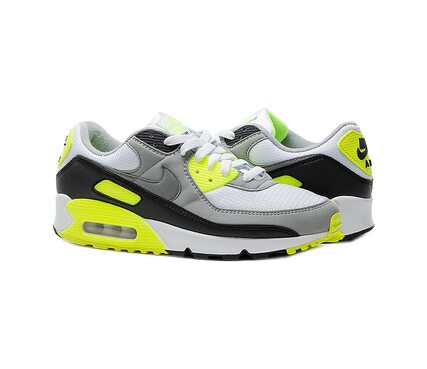 Кросівки AIR MAX 90 Nike CD0881-103