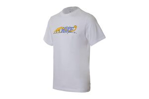 Футболка  M NK SB TEE DINO Nike CD2091-100