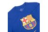 Купить Футболка  FCB M NK TEE EVERGREEN CRST 2 Nike CD3115-455 - оригинал, гарантия