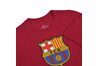 Купить Футболка  FCB M NK TEE EVERGREEN CRST 2 Nike CD3115-620 - оригинал, гарантия