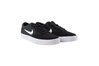 Купить Кроссовки SB Chron Solarsoft Nike CD6278-002 