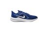 Купить Кроссовки  Downshifter 10 Nike CI9981-401 - оригинал, гарантия