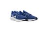 Купить Кроссовки  Downshifter 10 Nike CI9981-401 - оригинал, гарантия