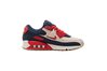 Придбати Кросівки Air Max 90 Premium Nike CJ0611-101 - оригінал