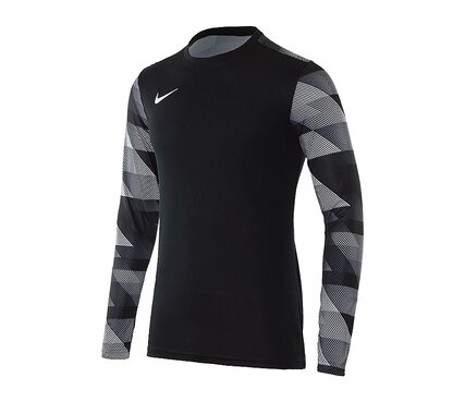 Воротарська футболка (довгий рукав) Nike Dry Park IV Goalkeeper Jersey Long Sleeve CJ6066-010