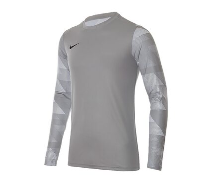 Футболка  Dry Park IV Goalkeeper Jersey Long Sleeve Nike CJ6066-052
