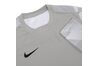 Купить Футболка  Dry Park IV Goalkeeper Jersey Long Sleeve Nike CJ6066-052 - оригинал, гарантия
