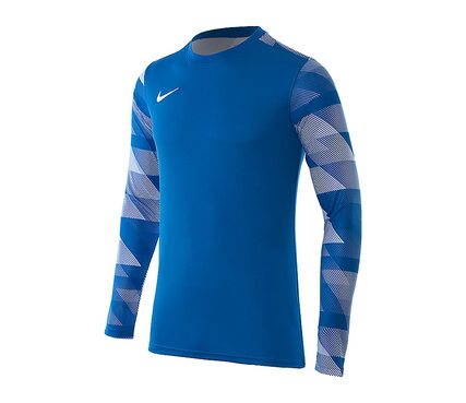 Кофта Dry Park IV Goalkeeper Jersey Long Sleeve Nike CJ6066-463