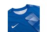 Придбати Кофта Dry Park IV Goalkeeper Jersey Long Sleeve Nike CJ6066-463 - оригінал Придбати Кофта Dry Park IV Goalkeeper Jersey Long Sleeve Nike CJ6066-463 - оригінал