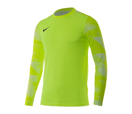 Кофта Dry Park IV Goalkeeper Jersey Long Sleeve Nike CJ6066-702