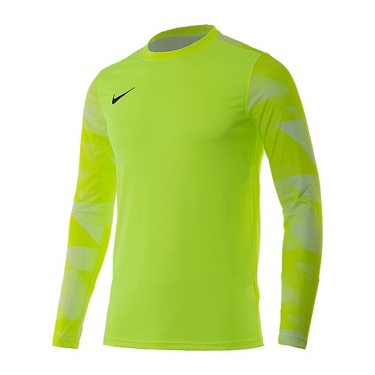 Придбати Кофта Dry Park IV Goalkeeper Jersey Long Sleeve Nike CJ6066-702 - оригінал Придбати Кофта Dry Park IV Goalkeeper Jersey Long Sleeve Nike CJ6066-702 - оригінал