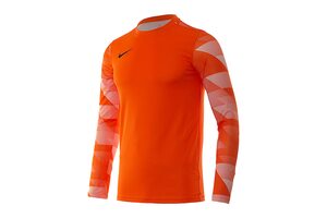 Кофта Dry Park IV Goalkeeper Jersey Long Sleeve Nike CJ6066-819 Кофта Dry Park IV Goalkeeper Jersey Long Sleeve Nike CJ6066-819