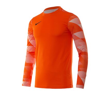 Кофта Dry Park IV Goalkeeper Jersey Long Sleeve Nike CJ6066-819