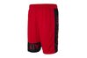 Купить Шорты  M J JORDAN AIR SHORT Nike CK6831-687 - оригинал, гарантия