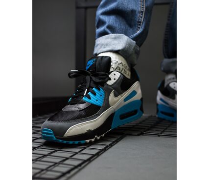 Кросівки Air Max 90 Nike CT0693-001