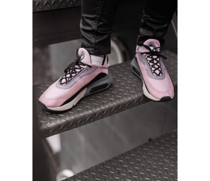 Кросівки Air Max 2090 Nike CT1876-600