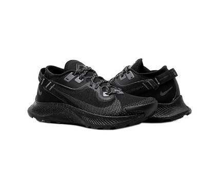 Кроссовки Nike  Pegasus Trail 2 GORE-TEX Nike CU2018-001