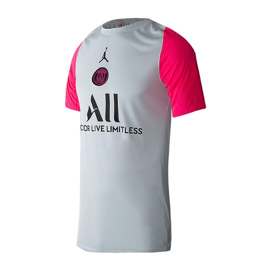 Футболка Nike PSG M NK BRT STRK TOP SS Nike CW1612-043 - оригинал