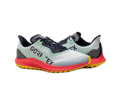 Кросівки Air Zoom Pegasus 36 Nike CW2364-400