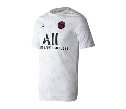 Футболка Nike PSG M NK BRT TOP SS PM Nike CW9489-101