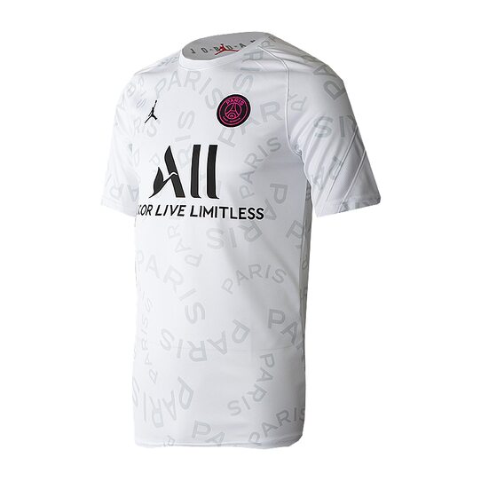 Футболка Nike PSG M NK BRT TOP SS PM Nike CW9489-101 - оригинал
