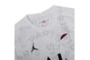 Футболка Nike PSG M NK BRT TOP SS PM Nike CW9489-101 - оригинал