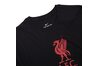 Купить Футболка  LFC M NK TEE EVERGREEN CREST Nike CZ8182-010 - оригинал, гарантия