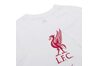 Купить Футболка  LFC M NK TEE EVERGREEN CREST Nike CZ8182-100 - оригинал, гарантия