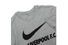 Купить Футболка  LFC M NK TEE TR GROUND Nike CZ8196-063 - оригинал, гарантия