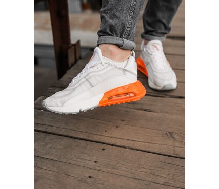 Кросівки AIR MAX 2090 Nike DC9032-100