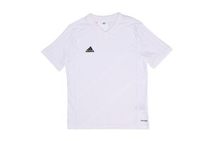 Nike TABELA 14 F50278-JR