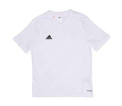 Nike TABELA 14 F50278-JR