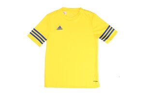 Nike ENTRADA 14 F50489-JR