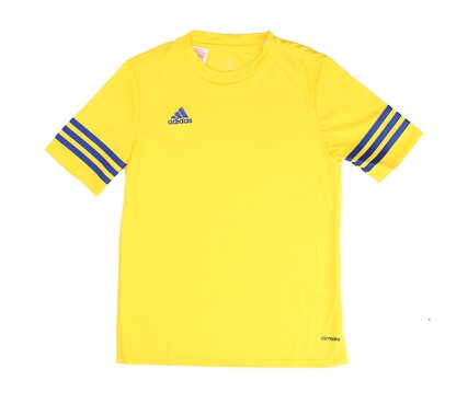 Nike ENTRADA 14 F50489-JR