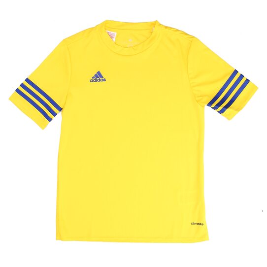 Купить Nike ENTRADA 14 F50489-JR - оригинал, гарантия