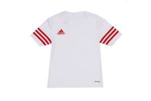 Nike ENTRADA 14 JERSEY F50490-JR