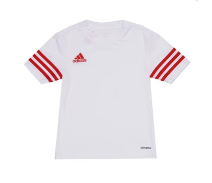 Nike ENTRADA 14 JERSEY F50490-JR