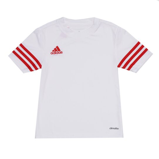 Купить Nike ENTRADA 14 JERSEY F50490-JR - оригинал, гарантия