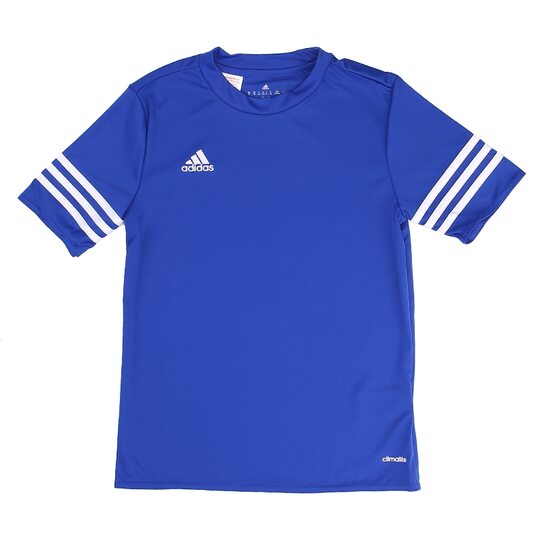 Купить Nike Entrada 14 JR F50491-JR - оригинал, гарантия