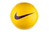 Купить Nike PITCH TEAM SC3166-701 - оригинал, гарантия