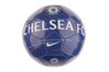 Купить Nike CFC NK SKLS SC3336-495 - оригинал, гарантия