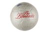 Купить М'яч ENT NK STRK Nike SC3928-100 - оригинал, гарантия Купить М'яч ENT NK STRK Nike SC3928-100 - оригинал, гарантия