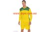 Купить Вратарская форма Joma AREA IV (желтая) - оригинал, гарантия