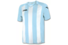 Купить Игровая футболка Joma Pisa 12 - оригинал, гарантия