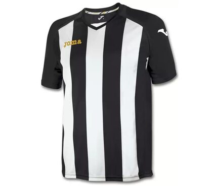 Игровая футболка Joma Pisa 12 Игровая футболка Joma Pisa 12