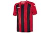 Купить Игровая футболка Joma Pisa 12 - оригинал, гарантия